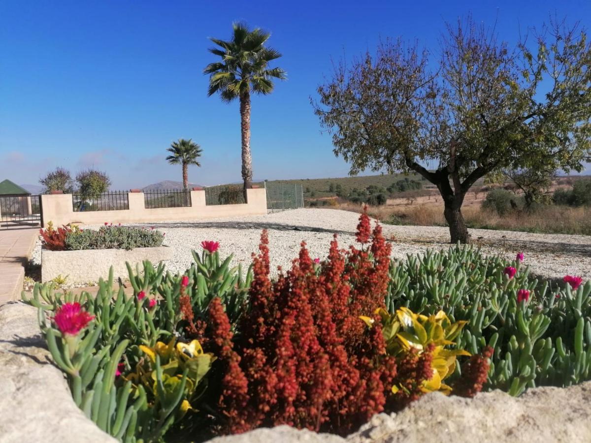 Canada del Trigo Finca Guillermo Murcia المظهر الخارجي الصورة