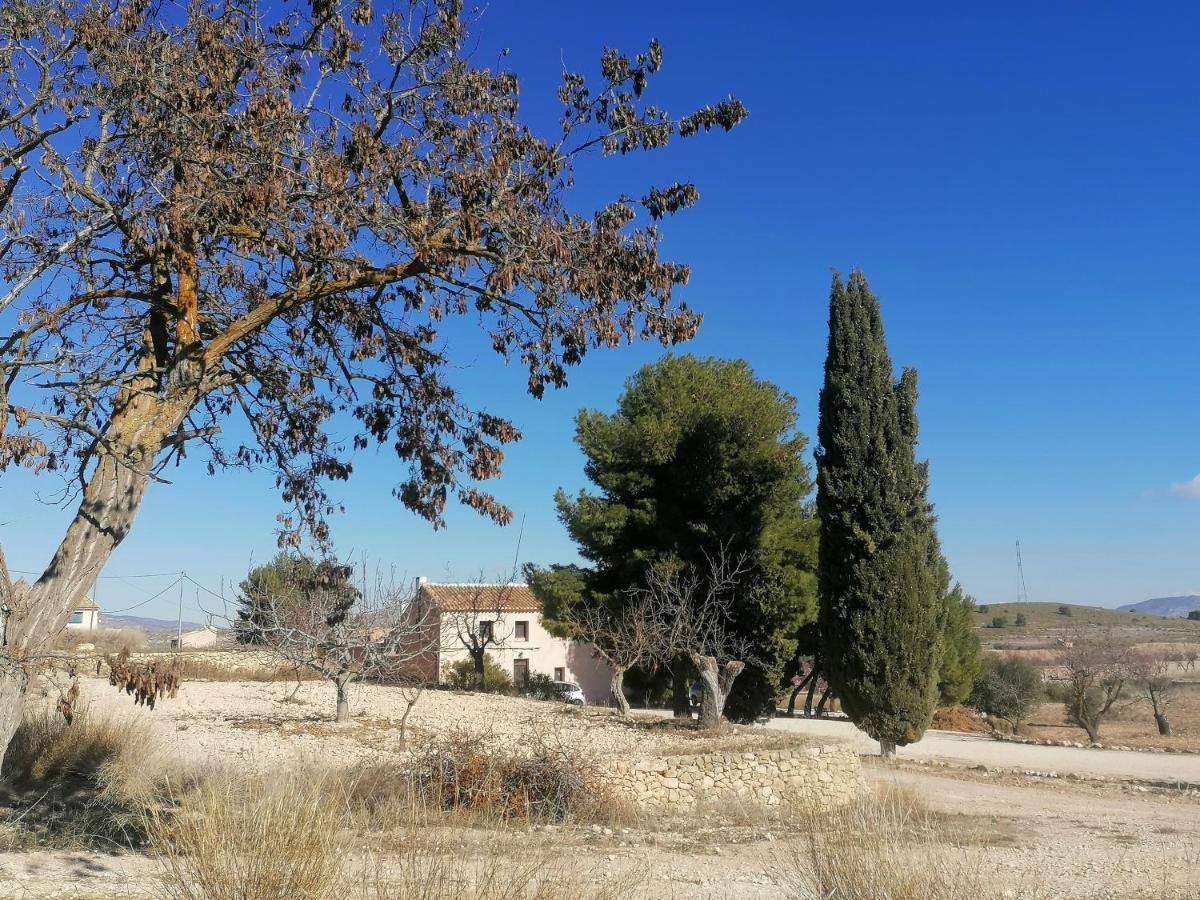Canada del Trigo Finca Guillermo Murcia المظهر الخارجي الصورة